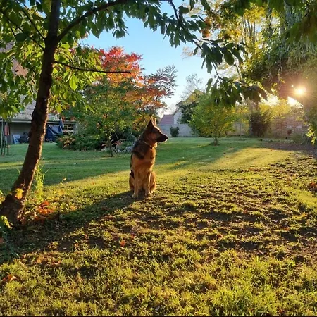 Alpstuga Le Tipi Avec Jacuzzi Et Jardin Troyes